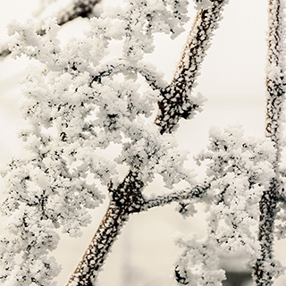 beissend kalt ists, aber das schönste Licht hat der Winter
